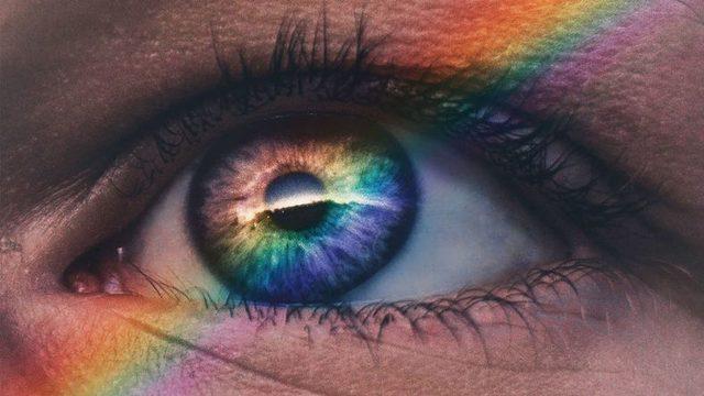 Renk Körü İnsanların Gözünden Dünya Nasıl Görünüyor?