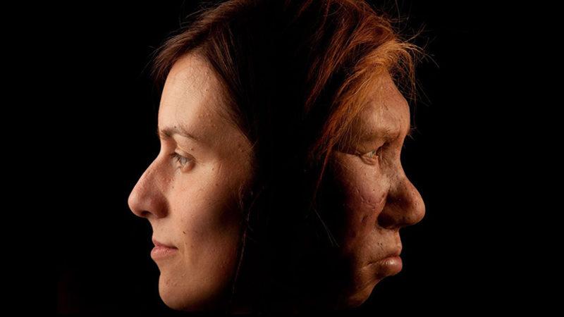 Bir Araştırmaya Göre Modern İnsanlar, Eskisine Göre Daha Az Mutasyon Geçiriyor