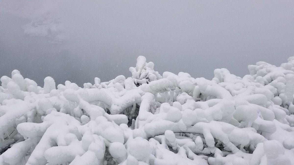 Buz Tutan Niagara Şelalesi’nden Disney Filmlerini Andıran Görüntüler