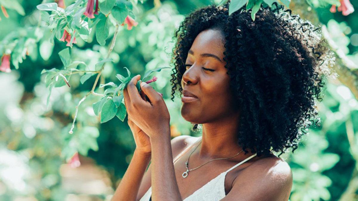 Kokular, Nasıl Oluyor da Geçmişten Bir Hatıranın Zihnimizde Canlanmasını Sağlıyor?