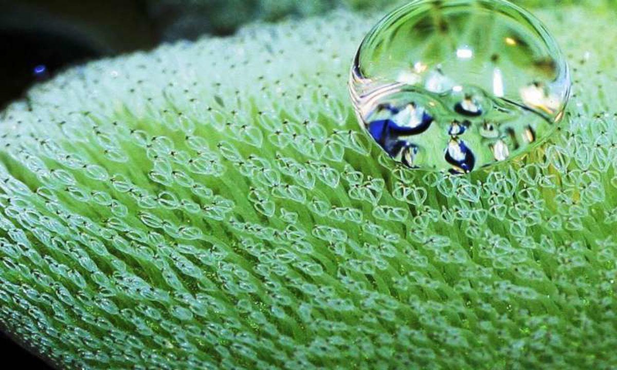 Sürtünmeyi Azaltan Yeni Gövde Kaplaması, Gemilere %20 Oranında Yakıt Tasarrufu Sağlatabilir