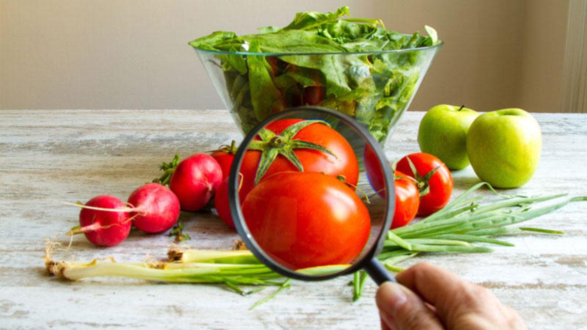 Gıda Güvenliğinde Hastalık Yapıcı Bakteri Testleri, Bilgisayar Programları Yardımıyla Yapılabilecek