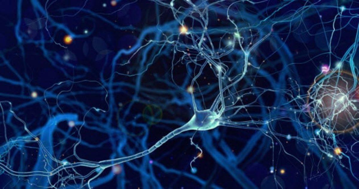 Hafıza İle İlgili Çoğu Kişinin Bilmediği 8 Garip Şey