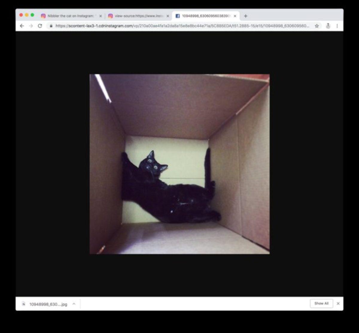 Instagram Fotoğrafları Ek Bir Uygulama Kullanmadan Nasıl İndirilir?