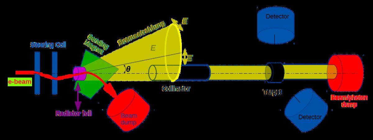Çoğu Kişinin Varlığından Bihaber Olduğu Türkiye’nin Göbeğindeki Bilim Merkezi: TARLA