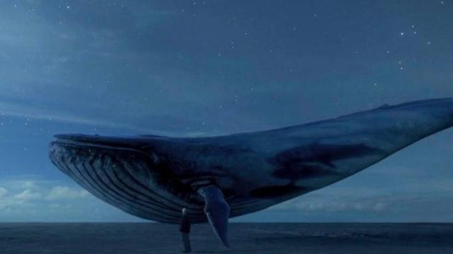 Mavi Balina Kurbanı 13 Yaşındaki Emine, Oyunu Annesinin Telefonundan Oynamış