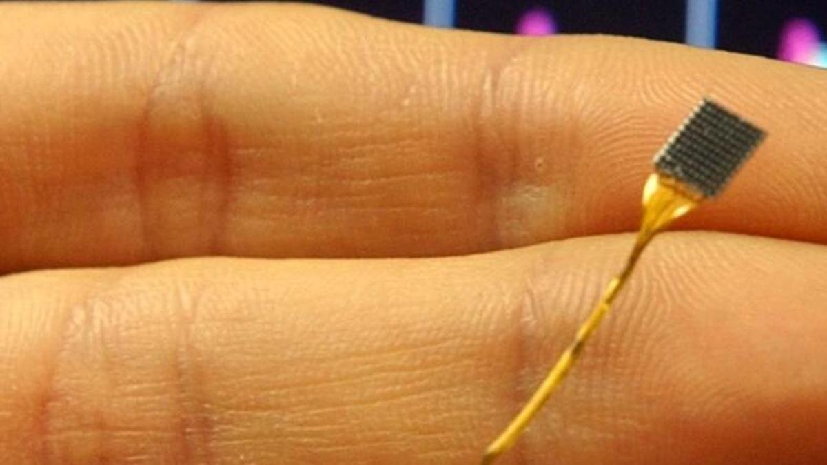 Yapay Zekâ Çipleri Bir İnsanın Beynine Yerleştirilirse Ne Olur?