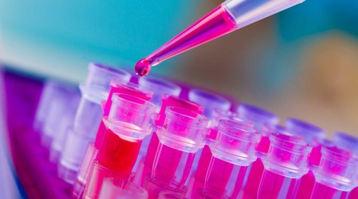 İsrailli Araştırmacılar: 1 Yıl İçinde Kanseri Yok Edeceğiz