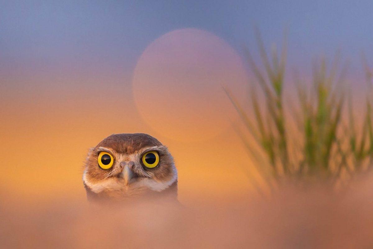 Flickr’da 2018 Yılında Paylaşılmış En İyi 25 Fotoğraf