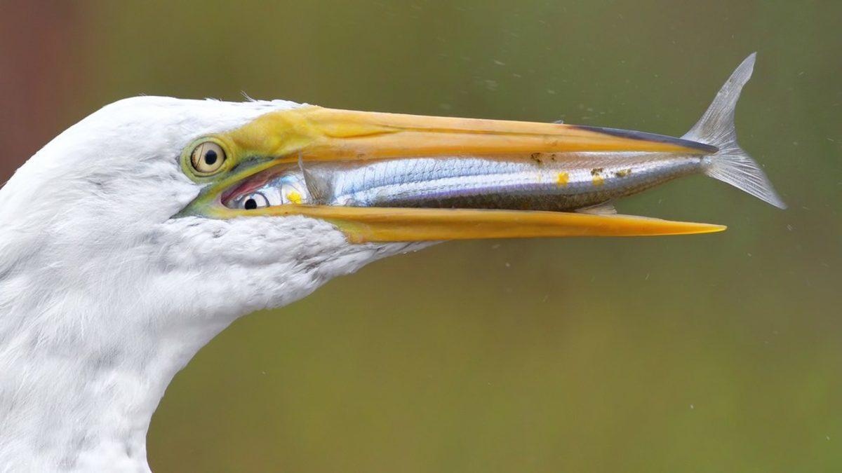 Flickr’da 2018 Yılında Paylaşılmış En İyi 25 Fotoğraf