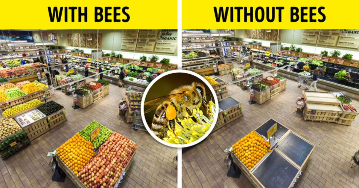 Dünyadaki Tüm Böcekler Yok Olursa Ne Olur?