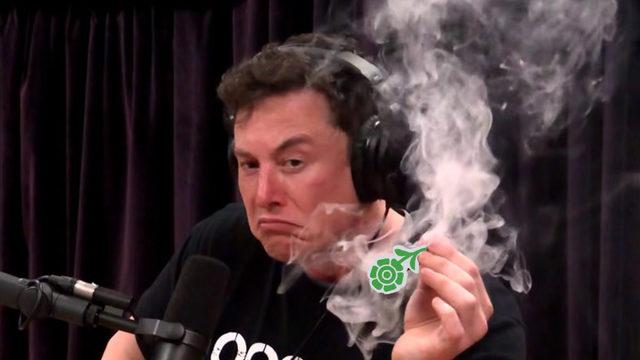 SpaceX, Araştırma Amacıyla Uzaya ‘Esrar ve Kahve’ Yollayacak