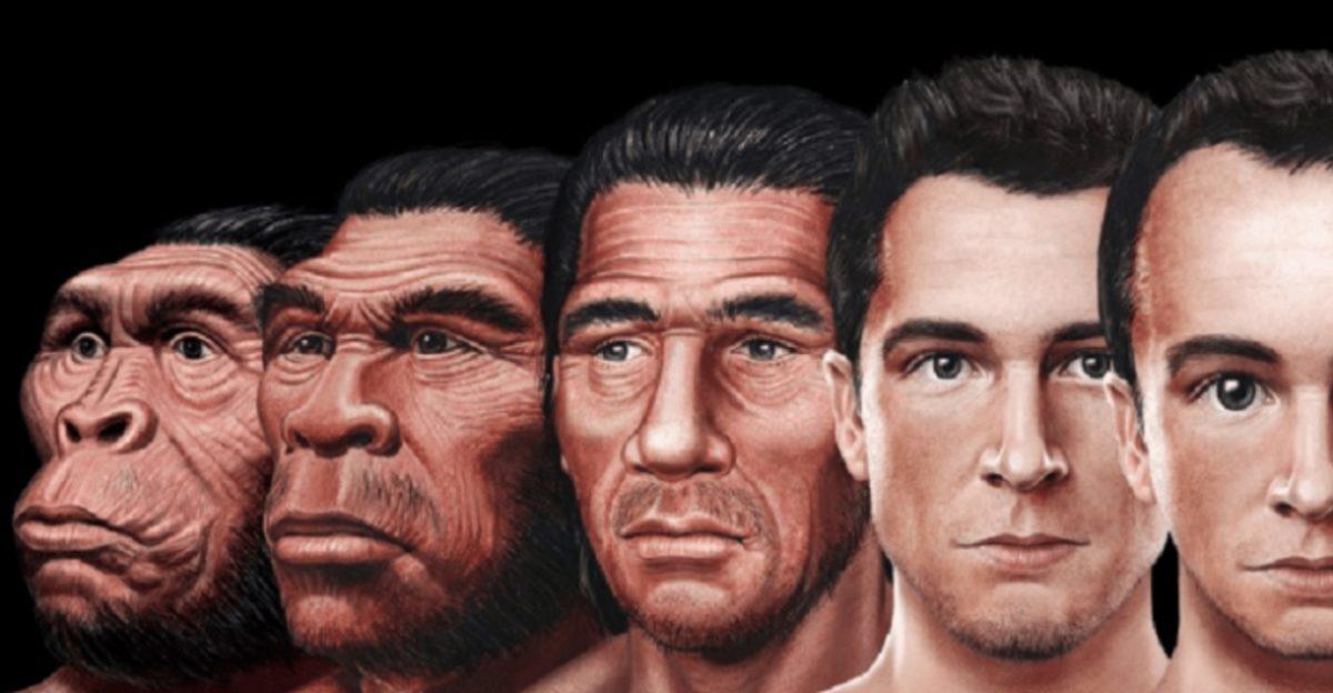 Yapılan Araştırmaya Göre Modern İnsanın Yaşam Süresi Sadece ’38 Yıl’