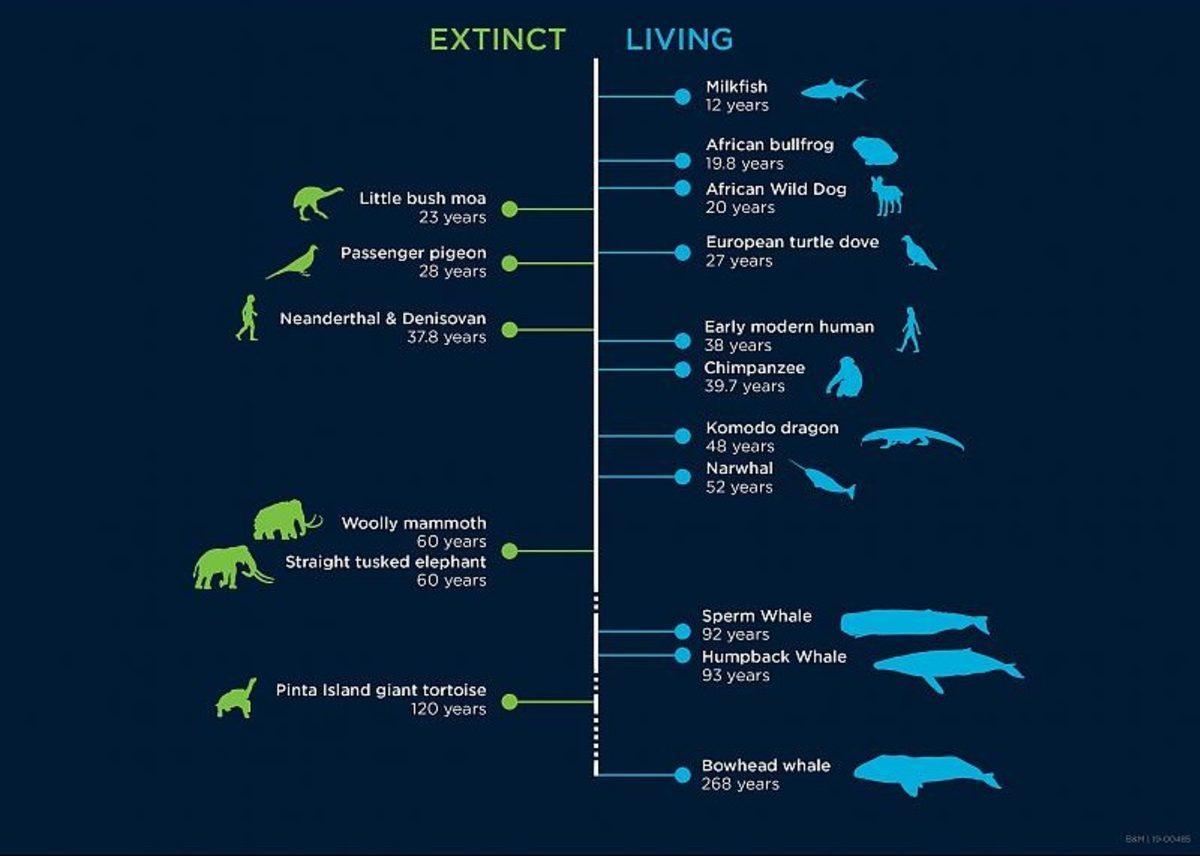 Yapılan Araştırmaya Göre Modern İnsanın Yaşam Süresi Sadece ’38 Yıl’