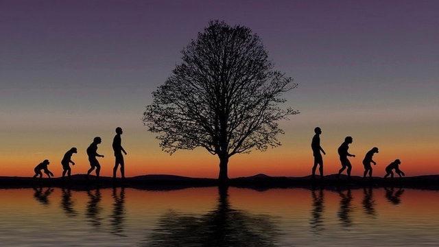 Yapılan Araştırmaya Göre Modern İnsanın Yaşam Süresi Sadece ’38 Yıl’