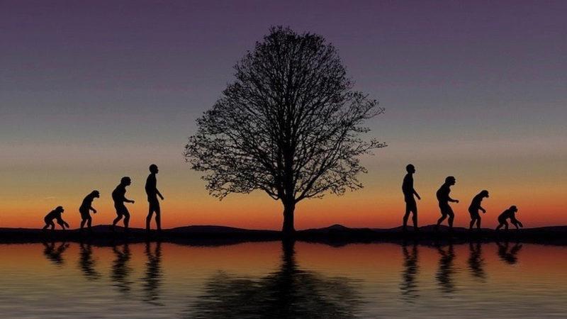 Yapılan Araştırmaya Göre Modern İnsanın Yaşam Süresi Sadece ’38 Yıl’