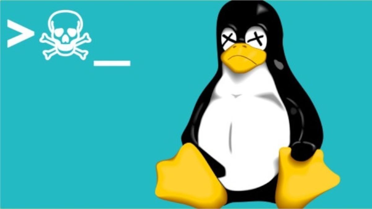 Asla Kullanmamanız Gereken En Tehlikeli 10 Linux Terminal Komutu