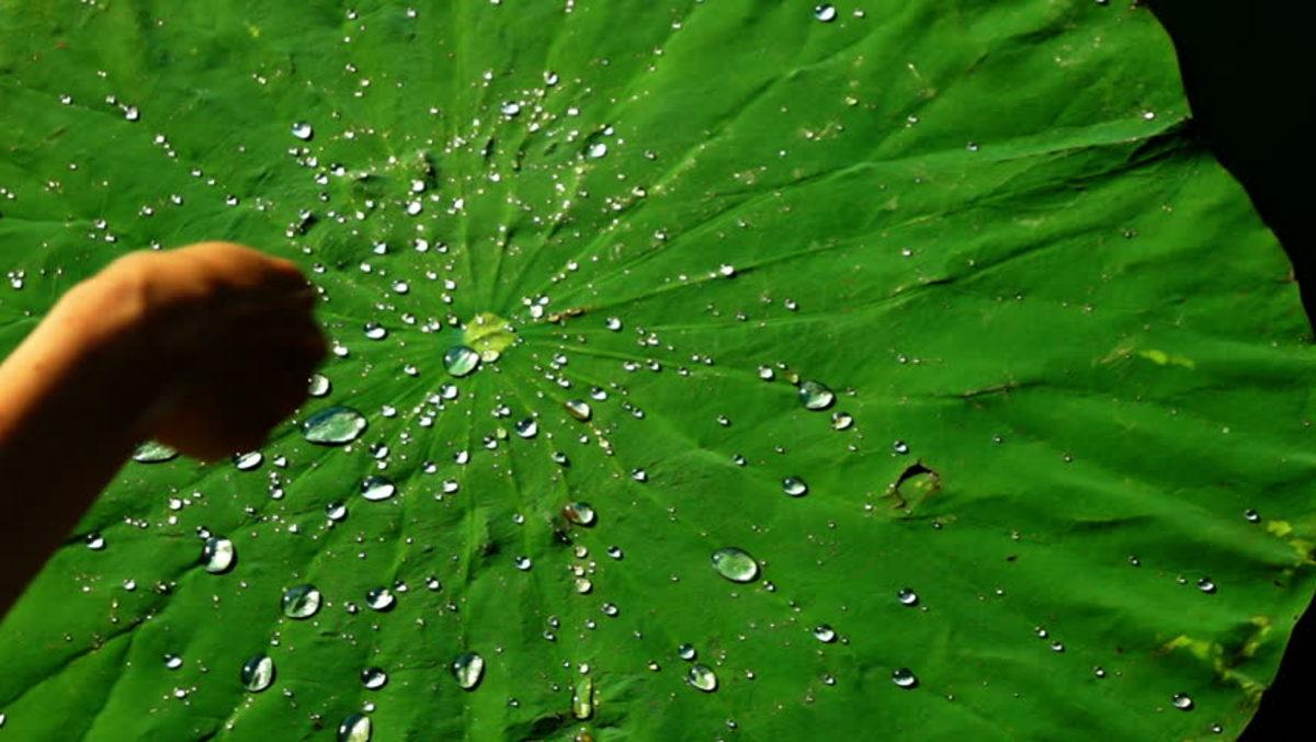 Bilim İnsanları, Bakterilere Karşı Tam Korunma Sağlayan Yüzey Kaplaması İcat Etti