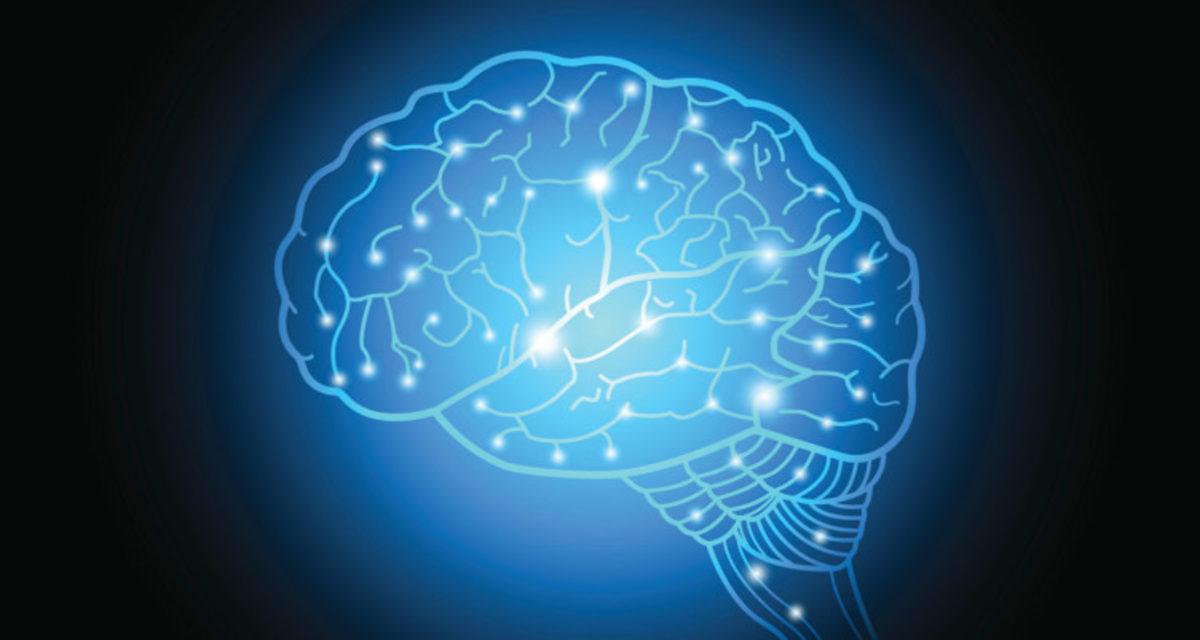 Gelecekte Adını Sık Sık Duyacağımız Sinir Ağlarının Genel Teorisi