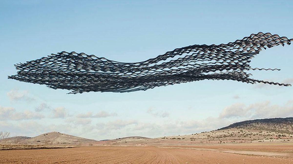 Bir Sanatçı, Kuşların Uçarken İzlediği Yolu Tek Bir Fotoğrafta Birleştirdi