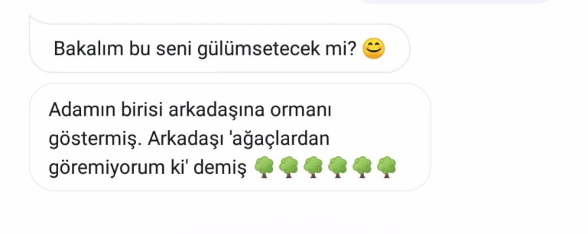 Google Asistan’ın Türkçe Olarak Yaptığı, İnsanı Kanser Eden 10 Espri