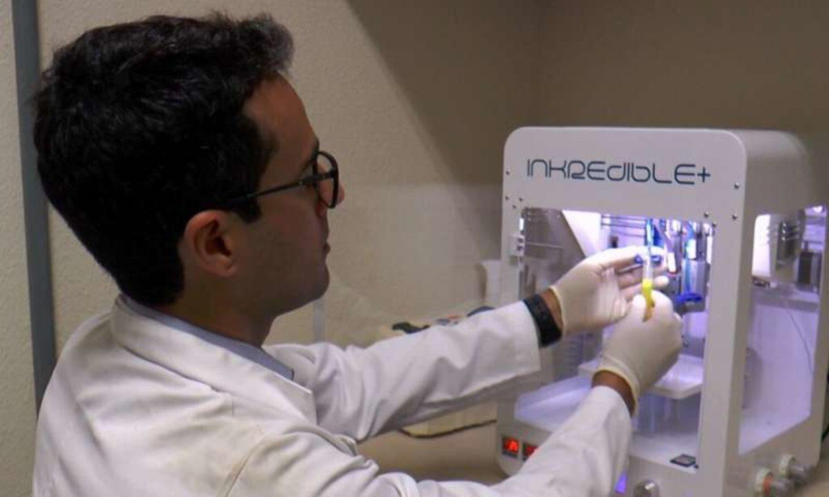 Tüm Fonksiyonlarıyla Çalışan Minyatür Karaciğer Üretildi