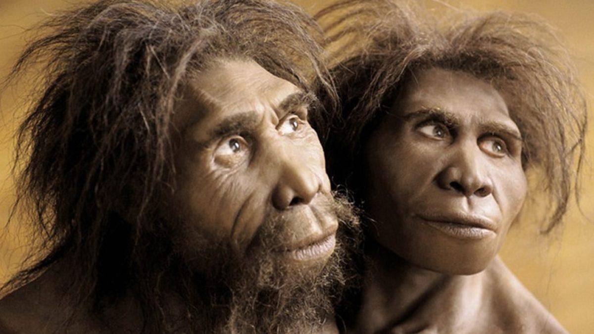 Modern İnsanın Atası, 1.6 Milyon Yıl Endonezya’da Yaşayıp Orada Yok Olmuş