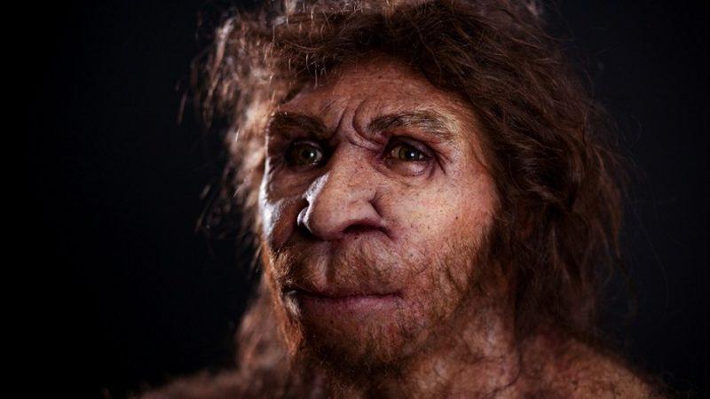 Modern İnsanın Atası, 1.6 Milyon Yıl Endonezya’da Yaşayıp Orada Yok Olmuş