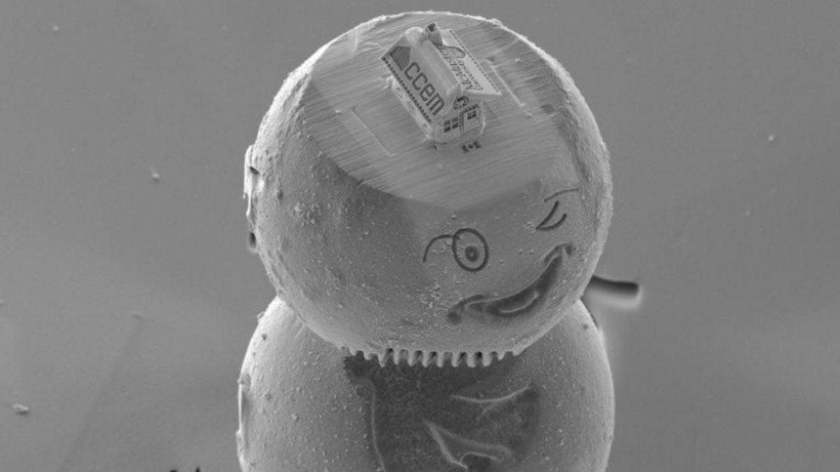 Zencefilden Yapılan Dünyanın En Küçük Evi ile Tanışın