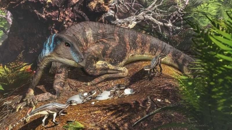 Avustralya’da Bebek Dinozorlara Ait Kemikler Bulundu