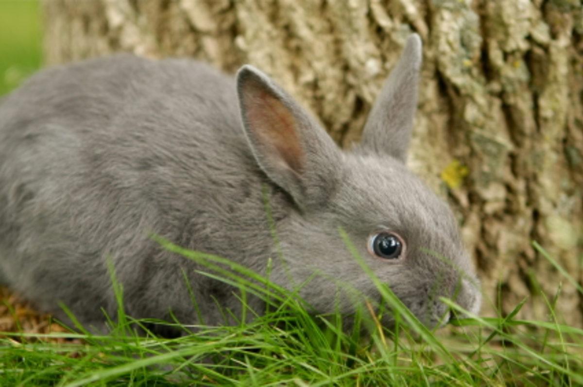 Apple’ı Batmaktan Kurtaran Microsoft Hakkında Az Bilinen 10 Gerçek