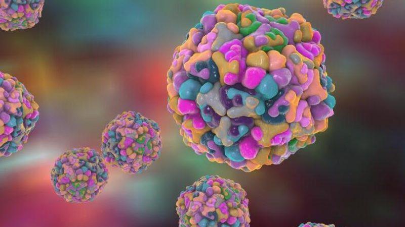 Bilim İnsanlarından Hepatit D Virüsüyle İlgili Önemli Buluş