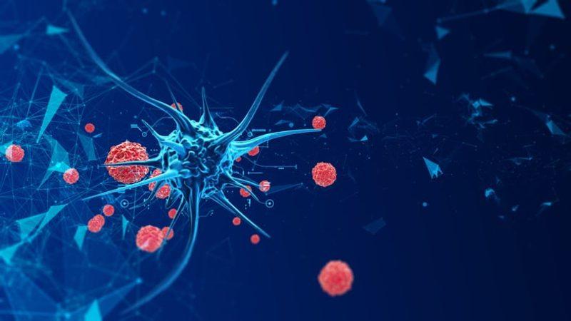 Bağışıklık Sistemimiz, Bakterilerin Kendi Aralarındaki Sinyalleri Dinliyor