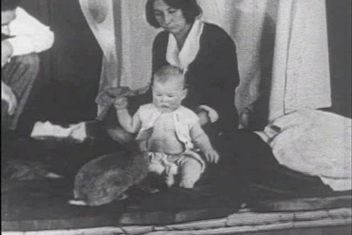 Korkuyu Doğuştan mı Biliriz, Yoksa Sonradan mı Öğreniriz? (Albert Deneyi)