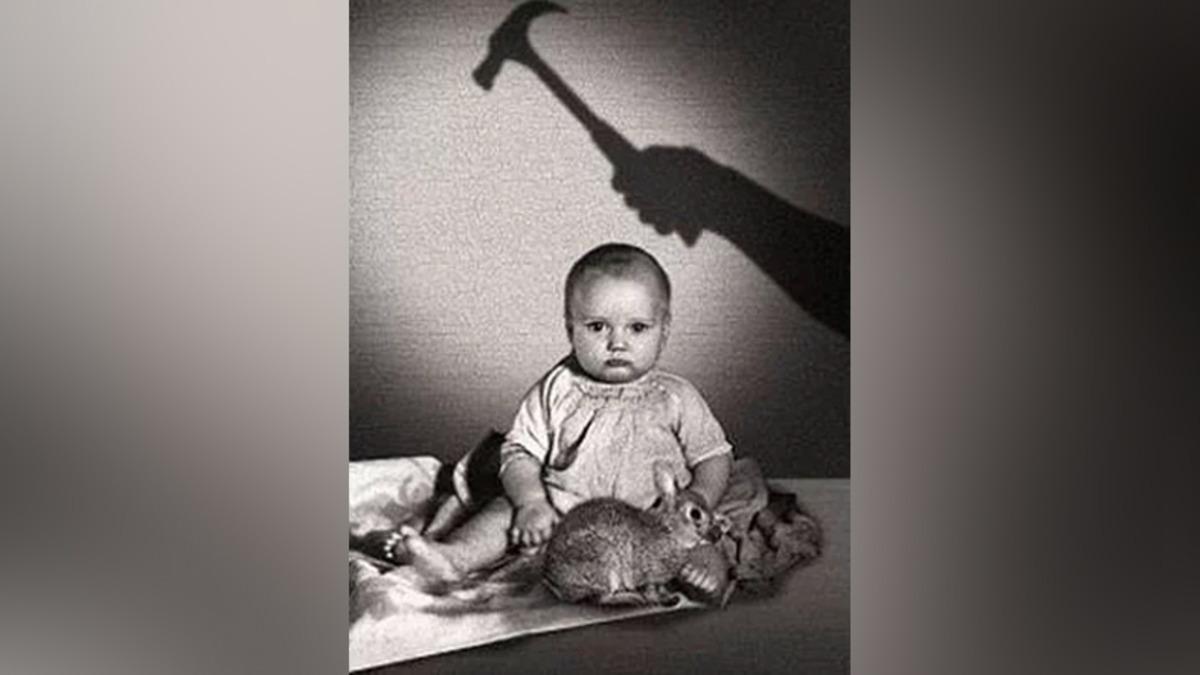 Korkuyu Doğuştan mı Biliriz, Yoksa Sonradan mı Öğreniriz? (Albert Deneyi)