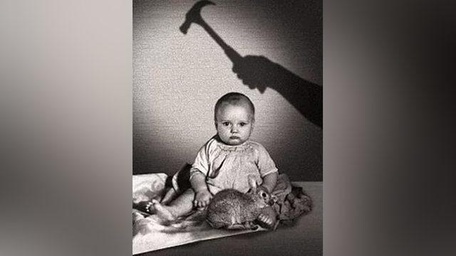 Korkuyu Doğuştan mı Biliriz, Yoksa Sonradan mı Öğreniriz? (Albert Deneyi)