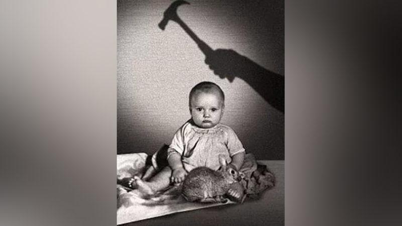 Korkuyu Doğuştan mı Biliriz, Yoksa Sonradan mı Öğreniriz? (Albert Deneyi)