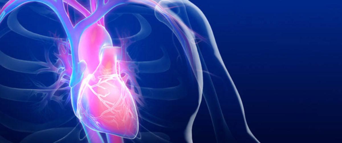 Kalp Yetmezliği Tespiti için Umutları Artıran Gelişme