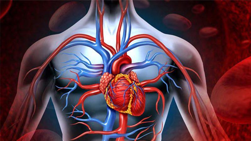 Kalp Yetmezliği Tespiti için Umutları Artıran Gelişme