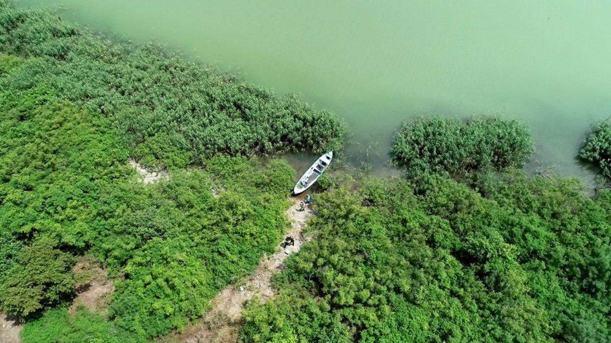 Türkiye’de Toplam Değerleri 457 Milyon Lira Olan 4 Ada ve 1 Yarımada Satışa Çıkarıldı