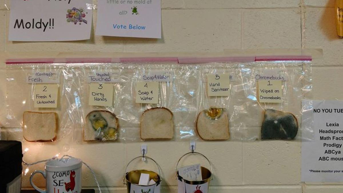 Elleri Yıkamanın Önemini Gözler Önüne Seren İğrenç Deney