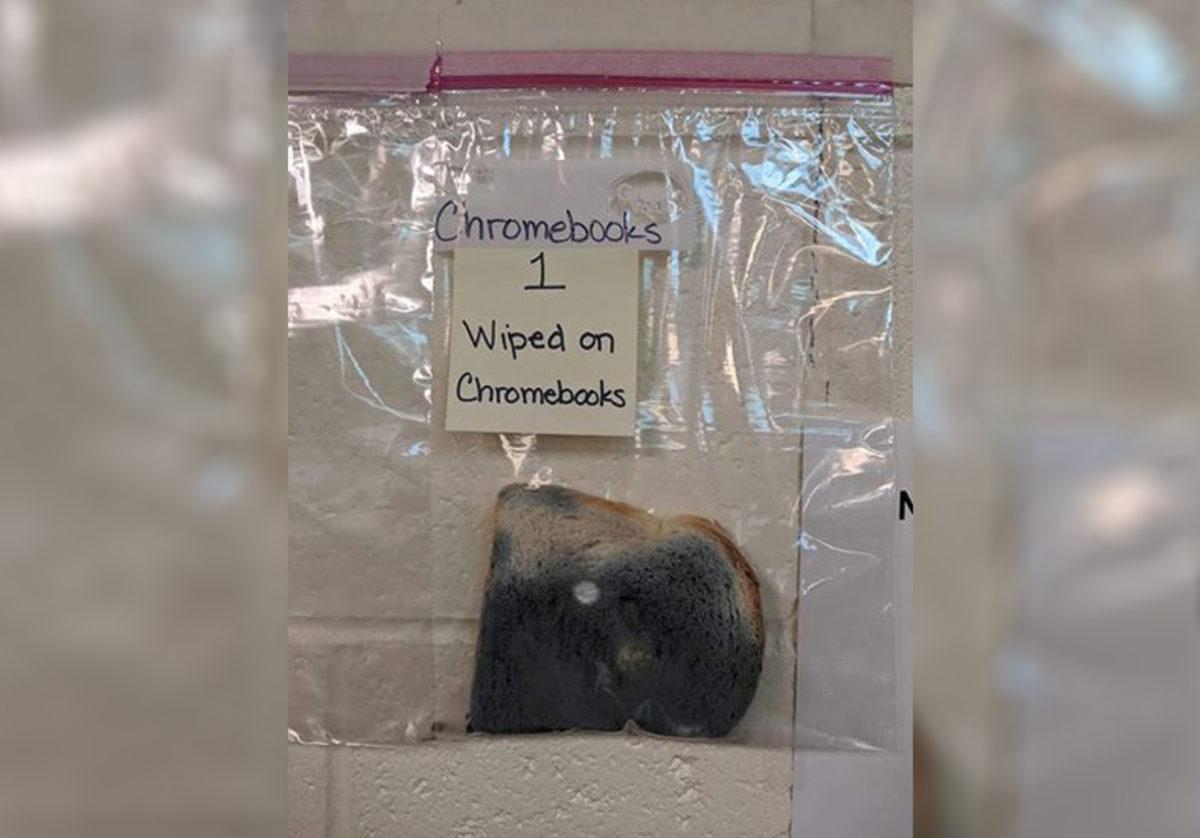 Elleri Yıkamanın Önemini Gözler Önüne Seren İğrenç Deney