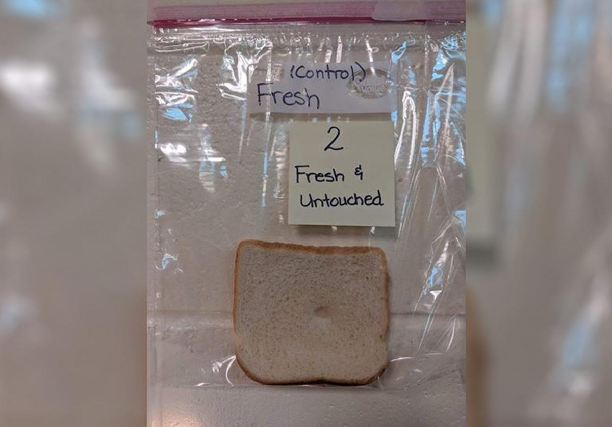 Elleri Yıkamanın Önemini Gözler Önüne Seren İğrenç Deney