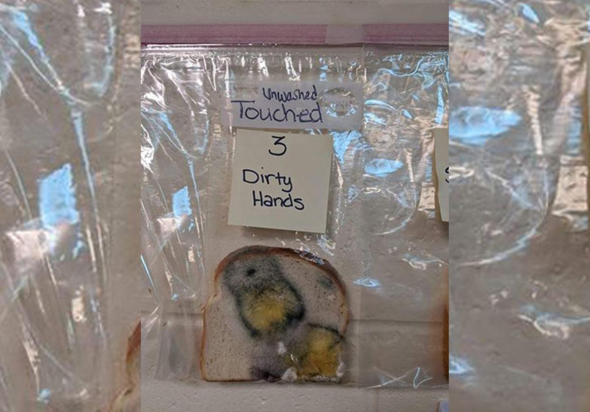 Elleri Yıkamanın Önemini Gözler Önüne Seren İğrenç Deney