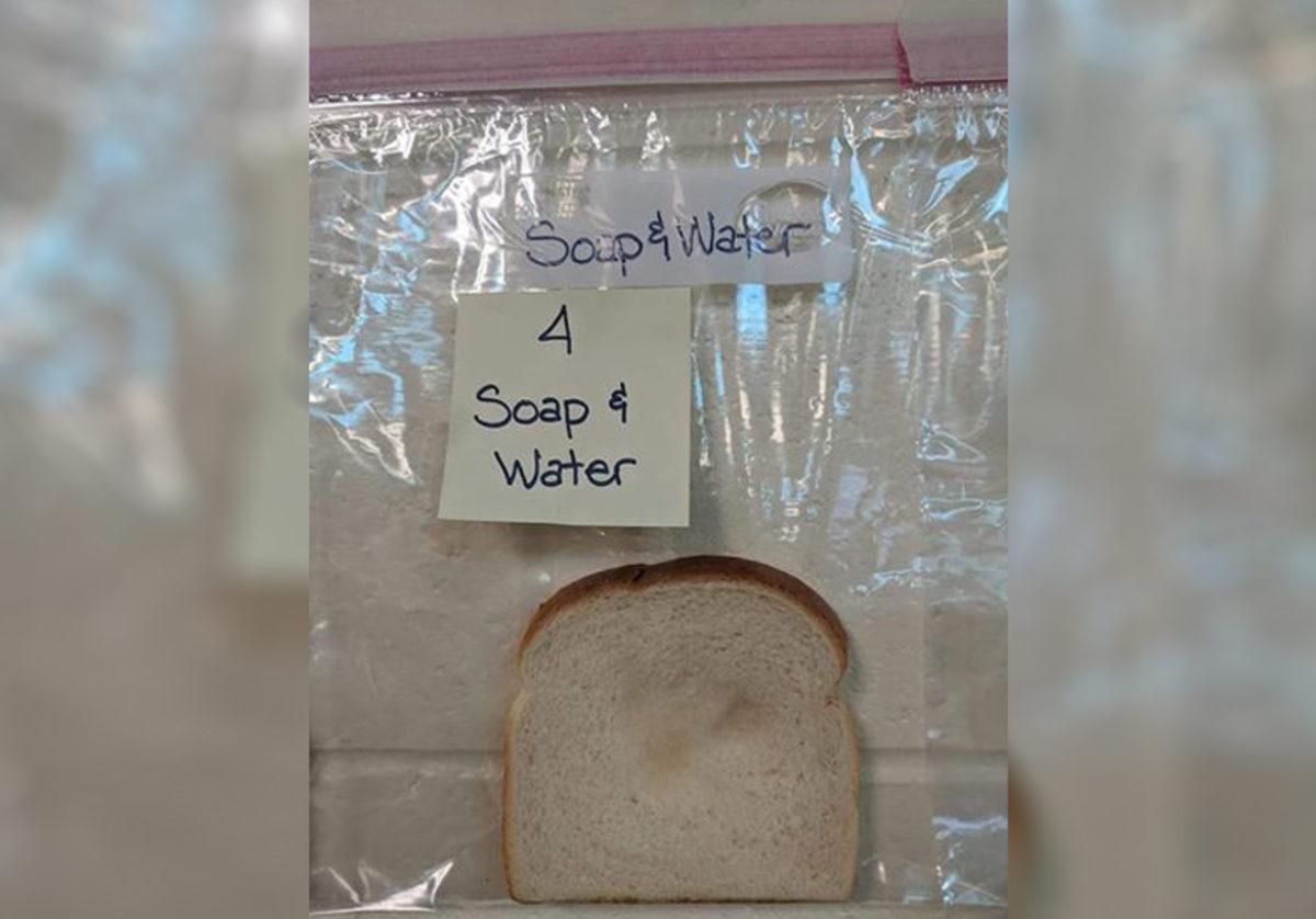 Elleri Yıkamanın Önemini Gözler Önüne Seren İğrenç Deney