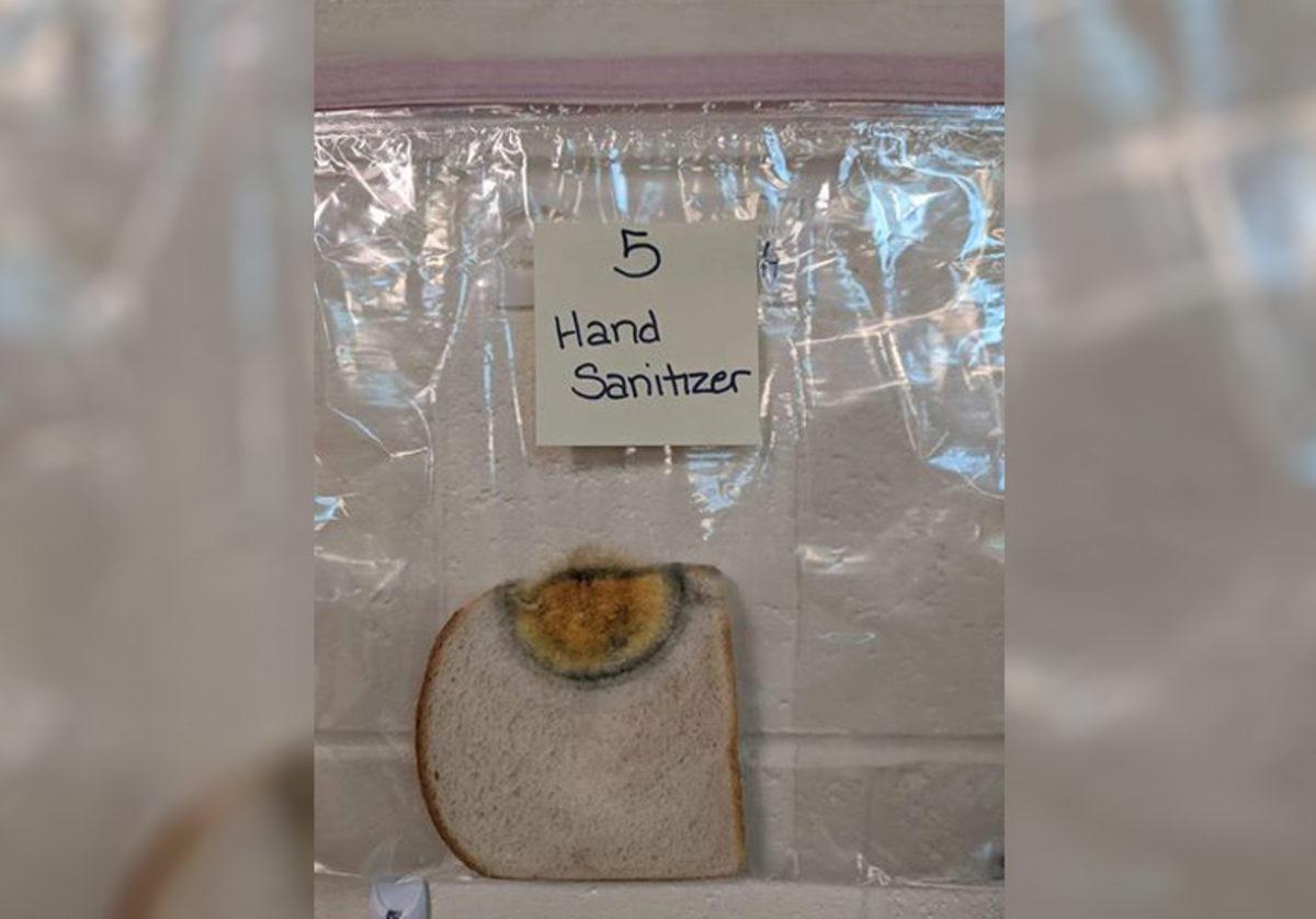 Elleri Yıkamanın Önemini Gözler Önüne Seren İğrenç Deney