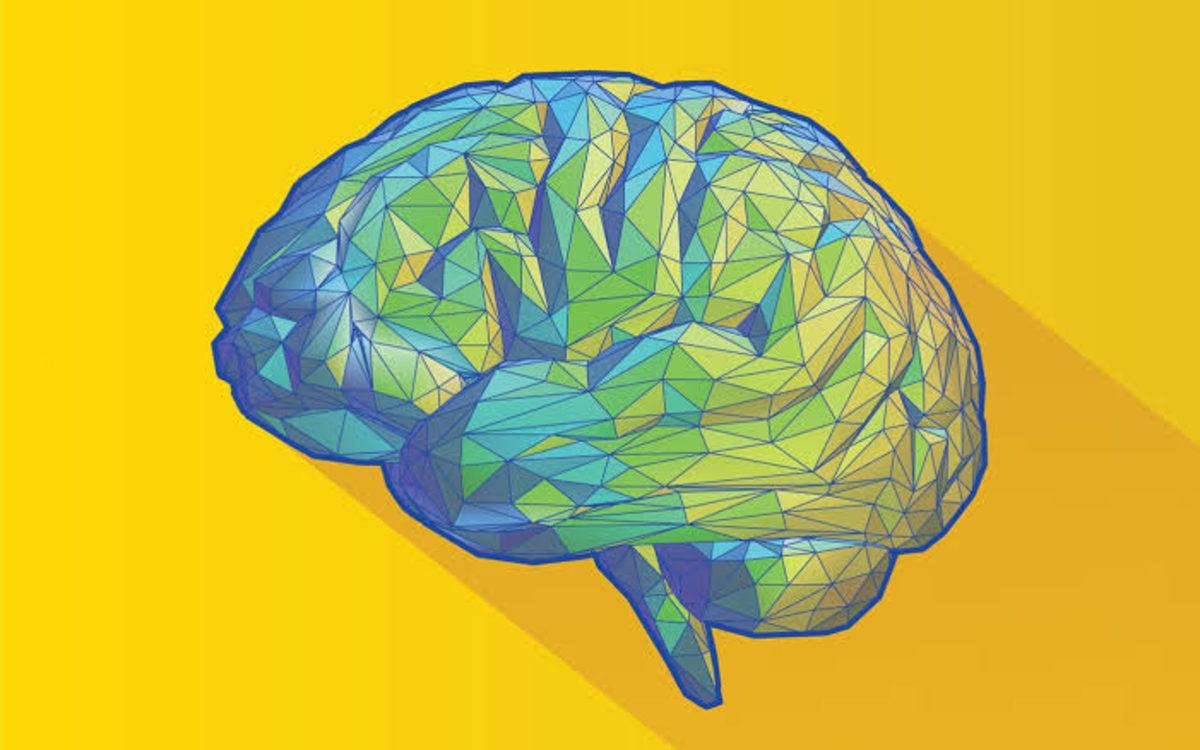 Bilim Cevap Verdi: Hayattaki Kararlarımızı Nasıl Veririz?