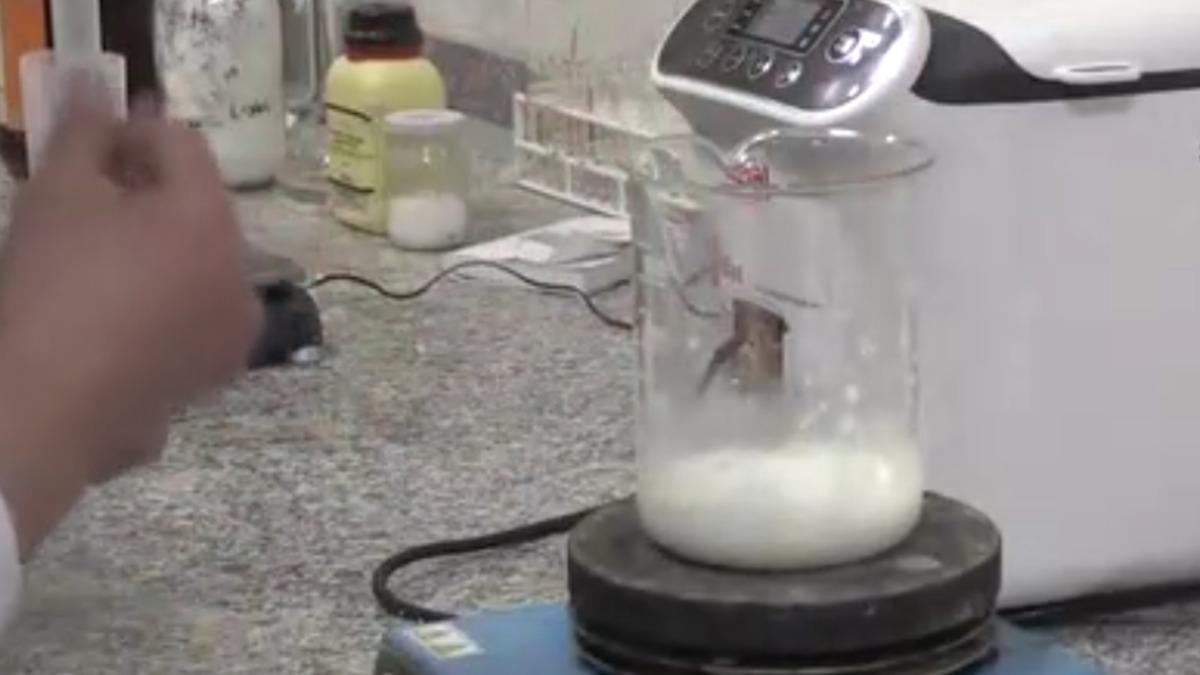 Gaziantep Üniversitesi Öğrencileri ’Yenilebilen’ Plastik Üretti