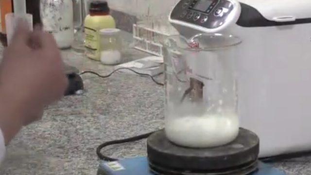 Gaziantep Üniversitesi Öğrencileri ’Yenilebilen’ Plastik Üretti