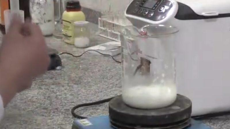 Gaziantep Üniversitesi Öğrencileri ’Yenilebilen’ Plastik Üretti